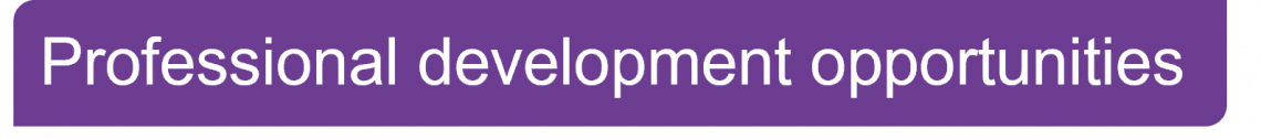 Professional development opportunities banner 2