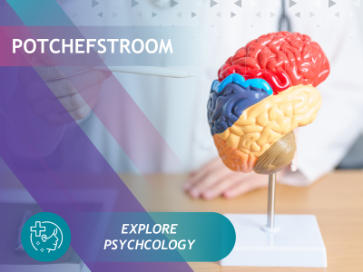 PC Psychology