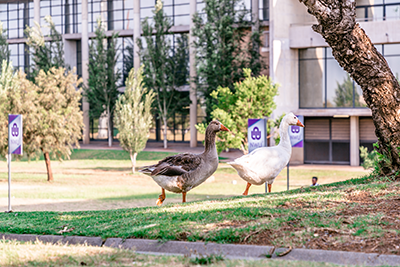 NWU Vanderbijlpark Campus